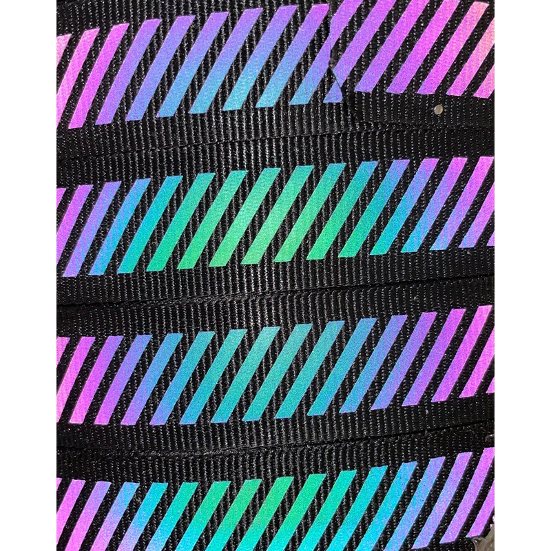 Small Scale Diagonal Stripe Rainbow Reflective Webbing (by the yard)