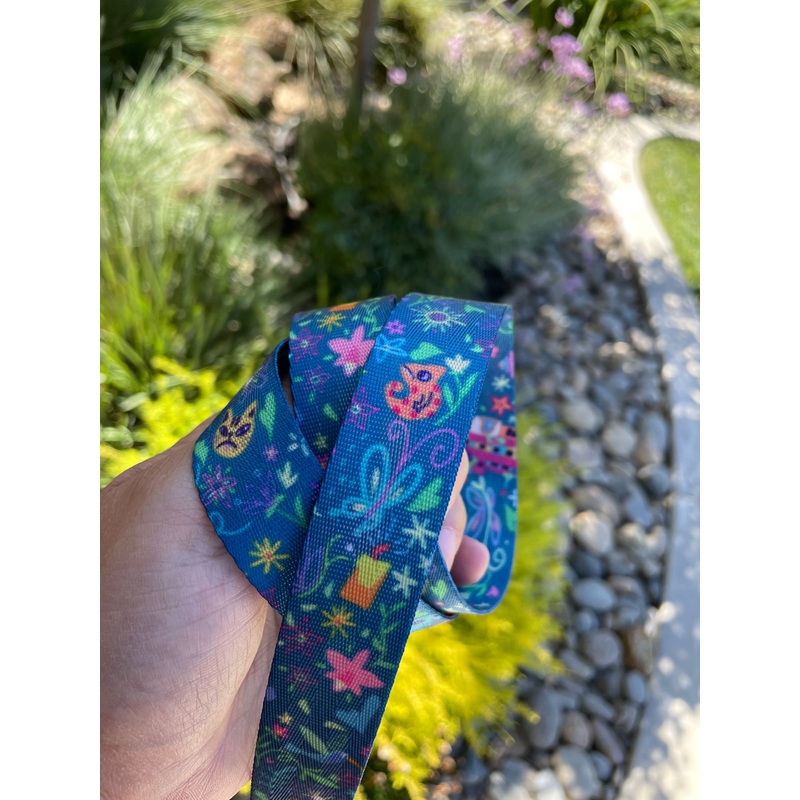 Teal Familia Doodles 1 Seatbelt Webbing