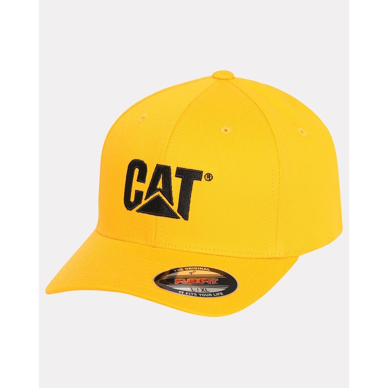 Trademark  Flex Fit Cap