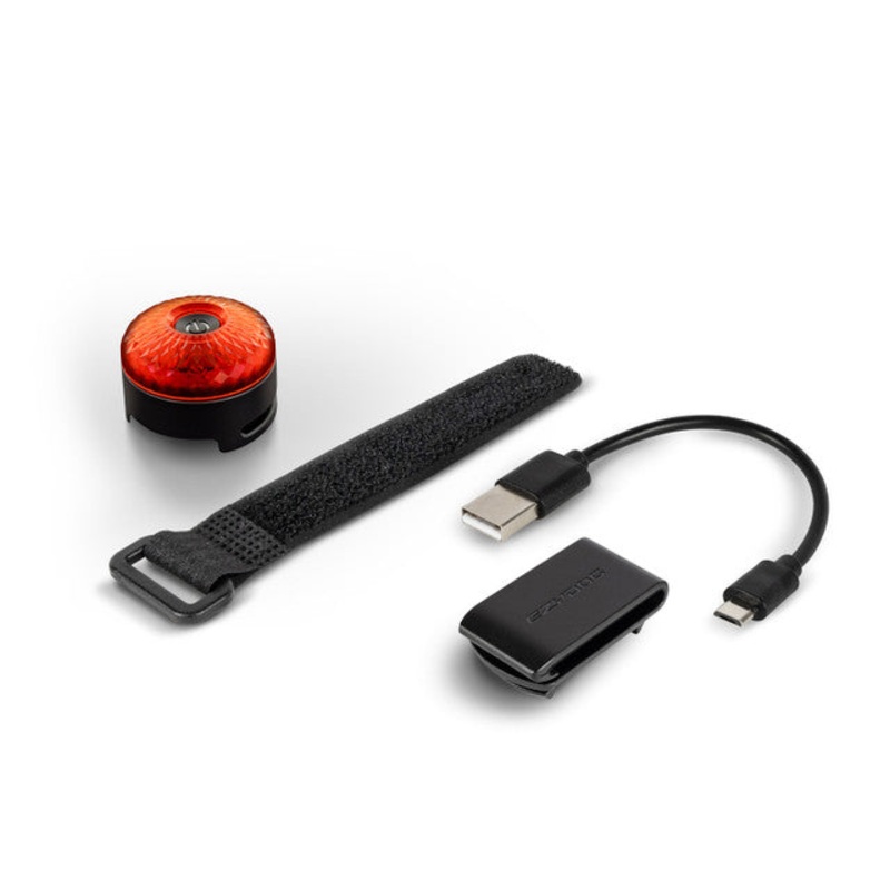 EZYDOG Adventure Light Red