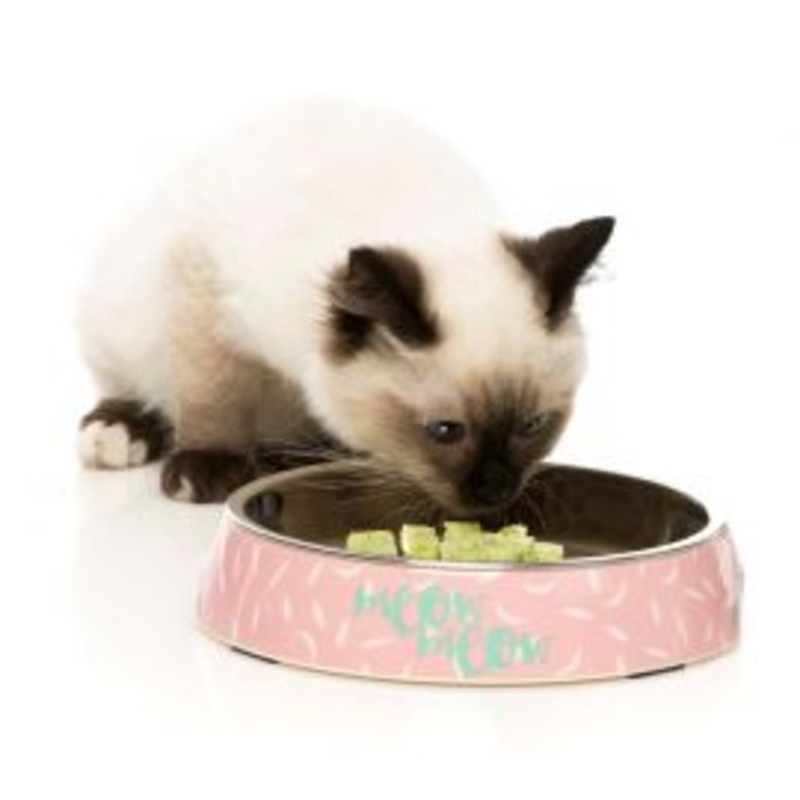 FuzzYard Cat Easy Feeder