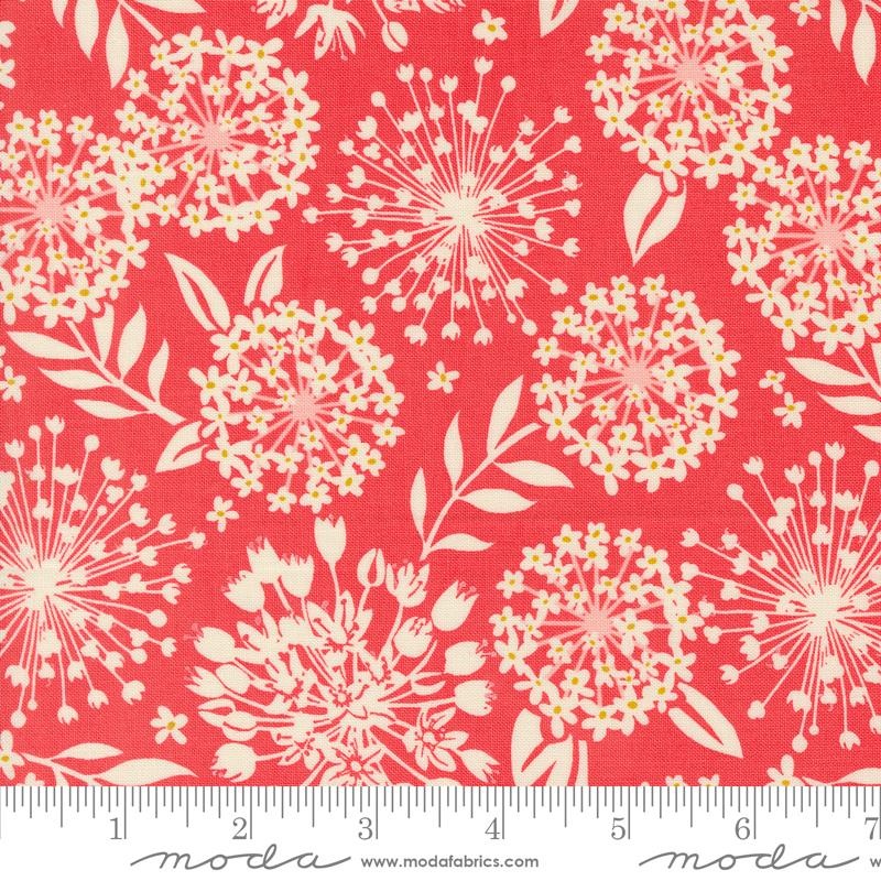 Tango Simpatico Tangerine  100% Quilting Cotton Fabric by the Yard
