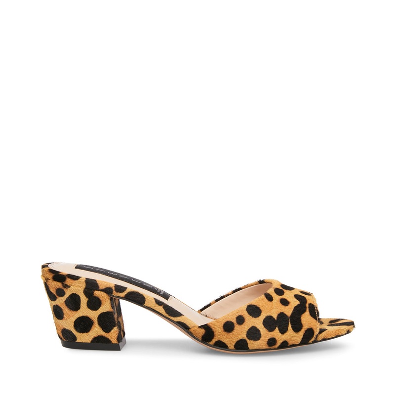 VERVE-L LEOPARD – SM REBOOTED