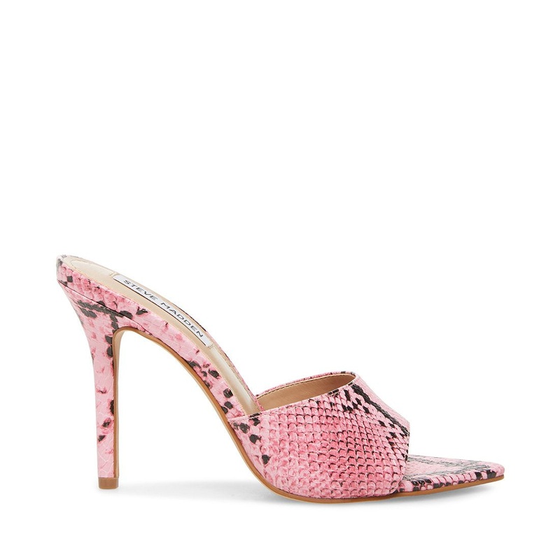 FEISTY PINK SNAKE – SM REBOOTED