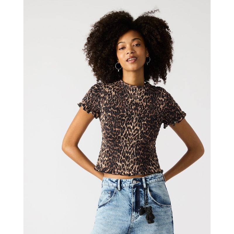 FIA TOP CHEETAH