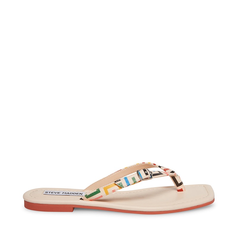 RADIATE MULTI – SM REBOOTED