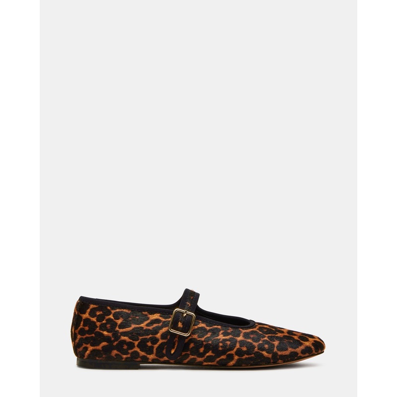 DREAMING LEOPARD