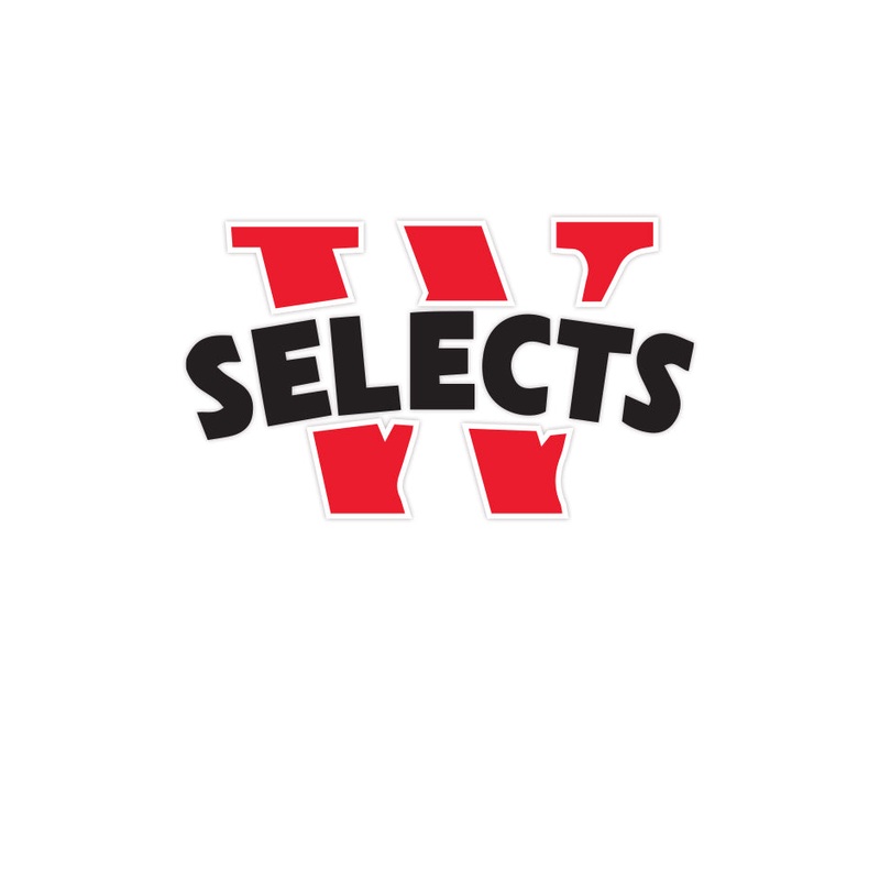 Car Decal GZHJ74433438