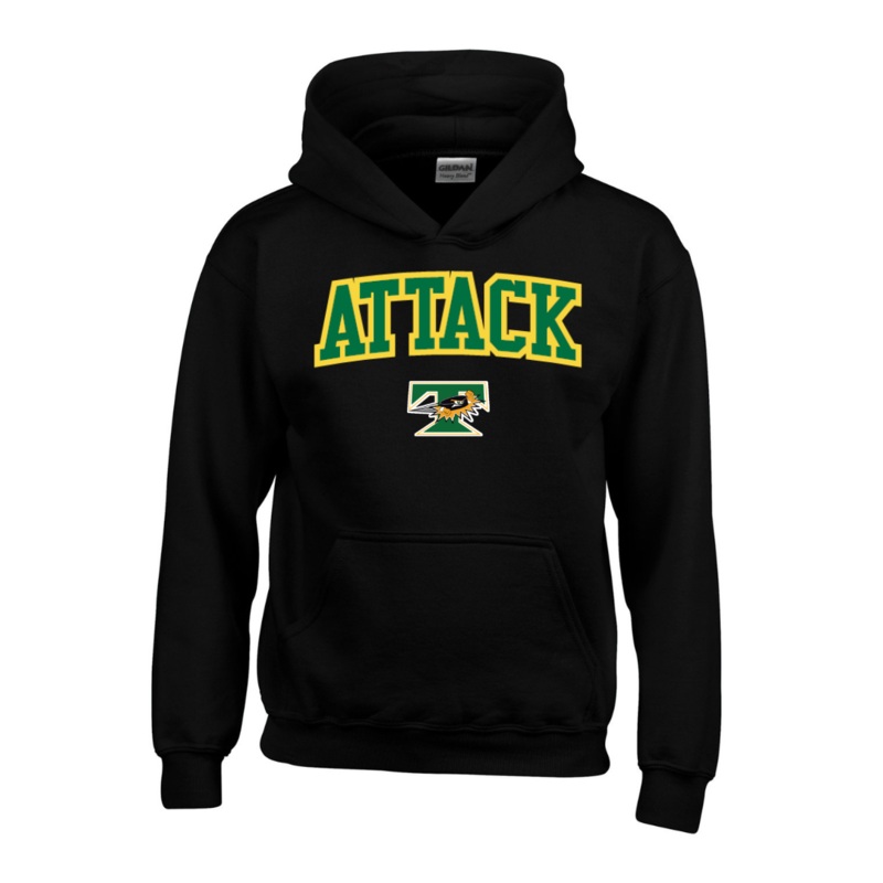 Cotton Fleece Hoodie – Applique GZHJ74432282