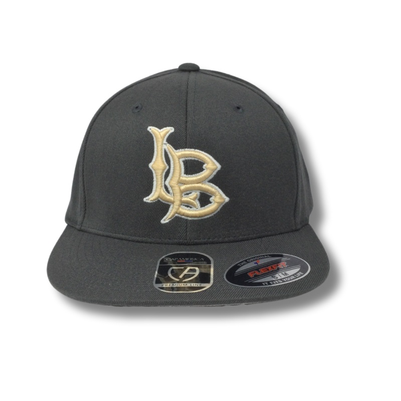 Badgers Game Hat
