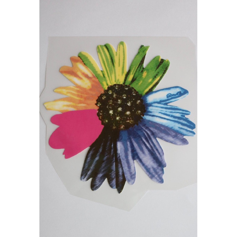 Rainbow Daisy Heat Transfer, Iron-On